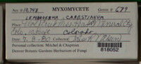 Image Associated With the Occurence